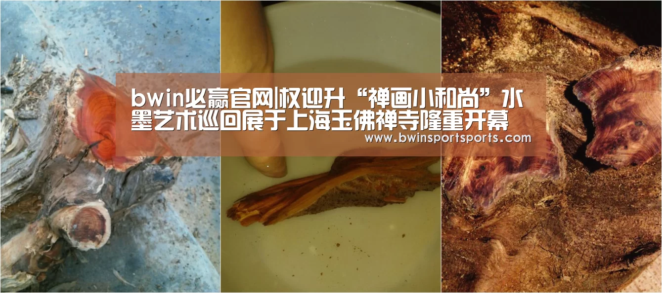 bwin必赢官网